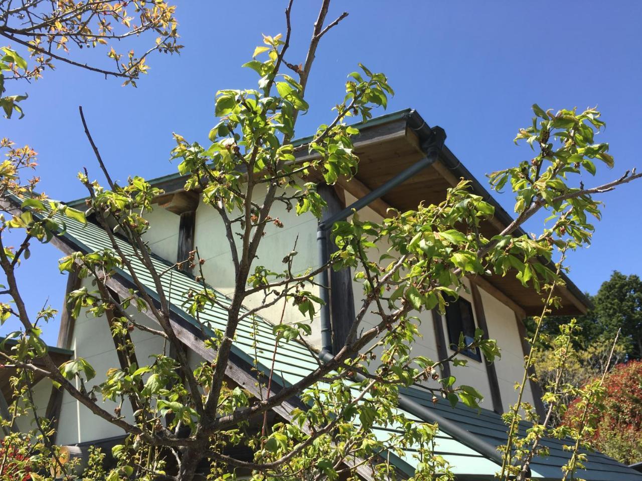 Kurokawa Mori No Cottage 미나미오구니 외부 사진