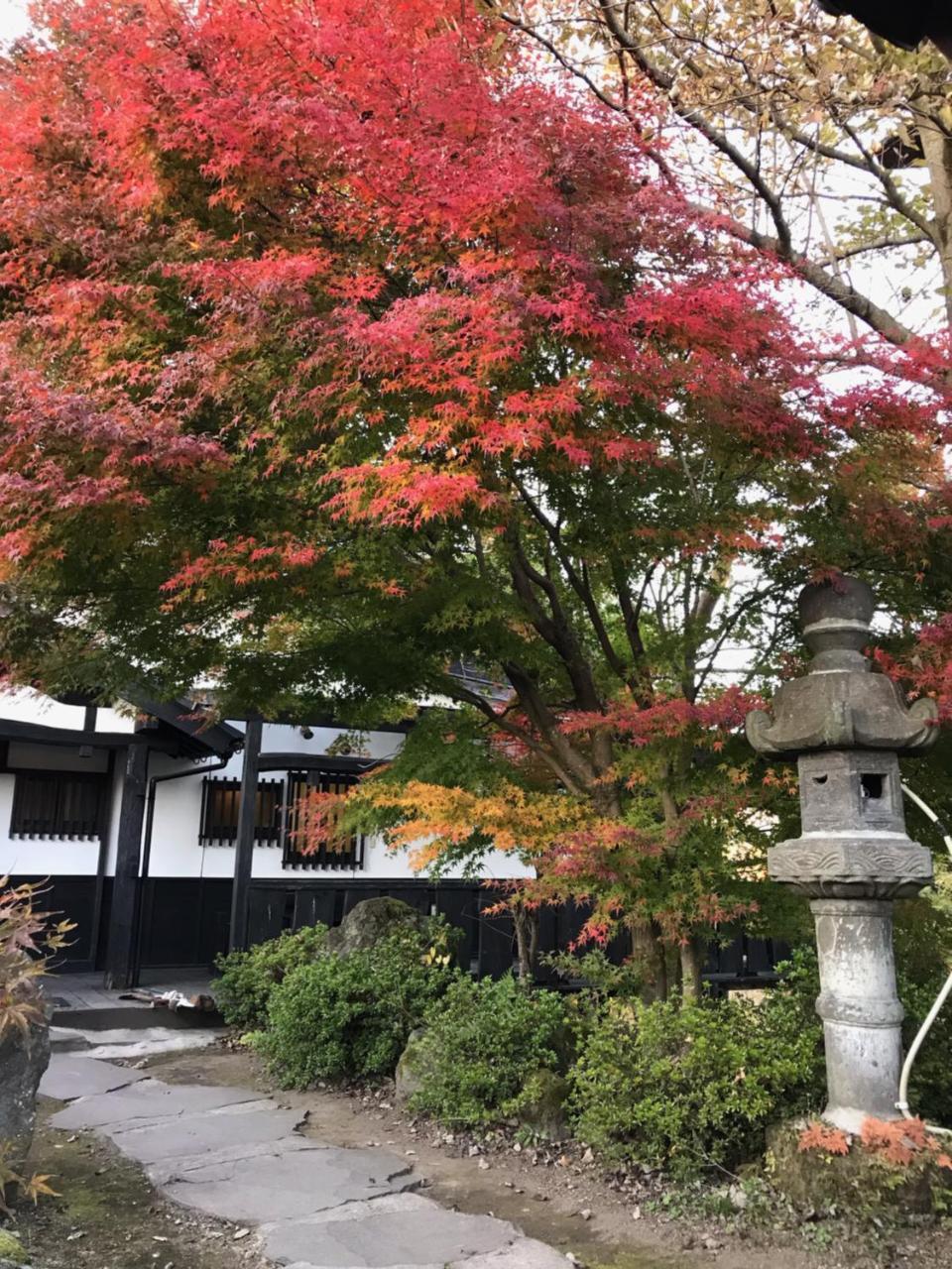 Kurokawa Mori No Cottage 미나미오구니 외부 사진